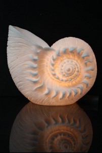 OUT OF STOCK  SNAIL LAMP [480739]